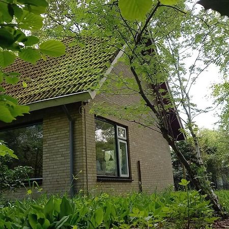 Vechtdalhuisje 17 Ommen Zewnętrze zdjęcie