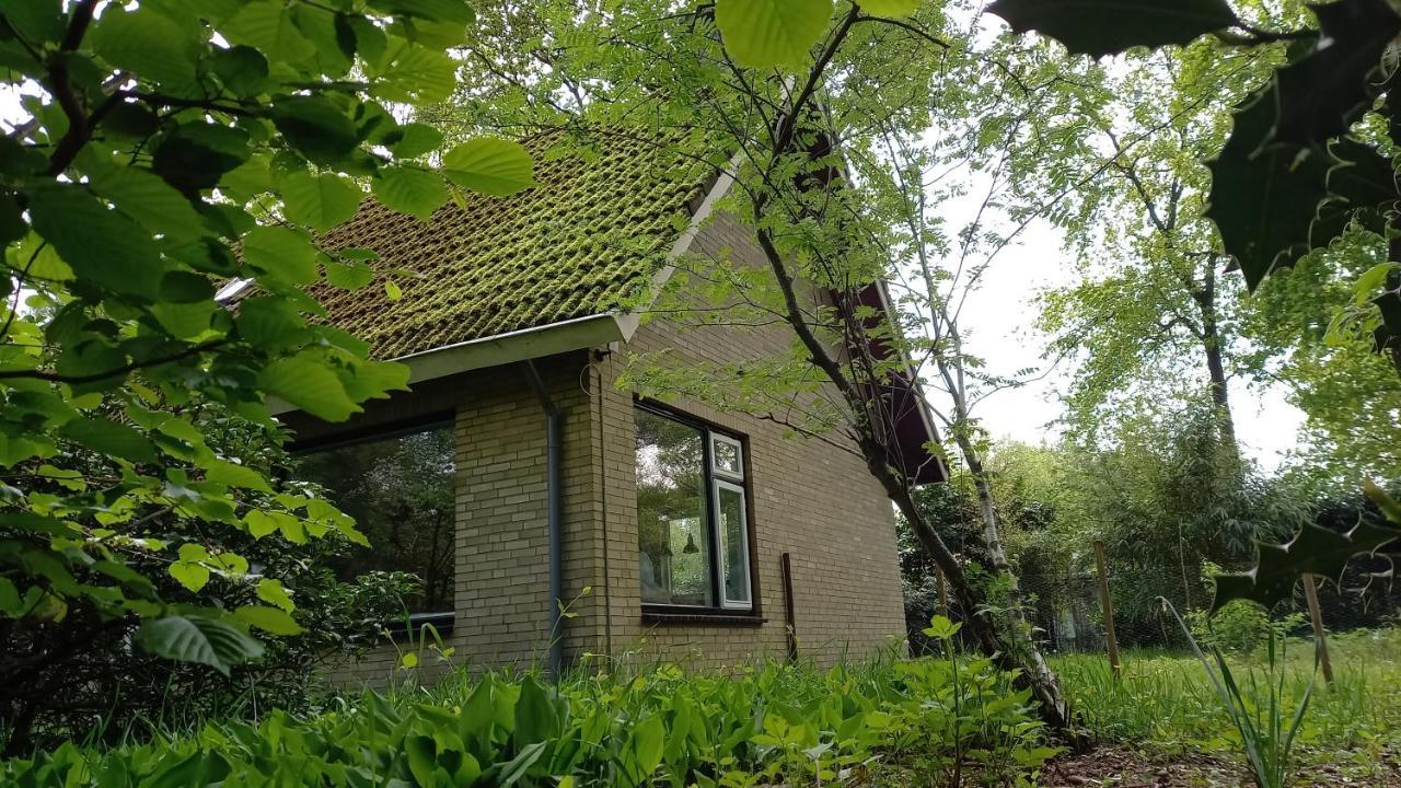 Vechtdalhuisje 17 Ommen Zewnętrze zdjęcie